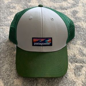 Patagonia Green/Silver Wave Trucker Adjustable Hat